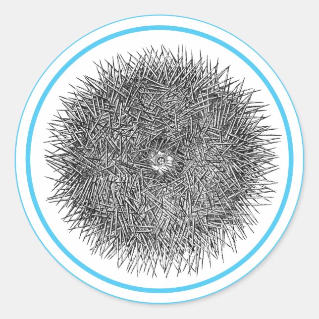 Redondo Adesivo de Pricky Urchin (Frente)