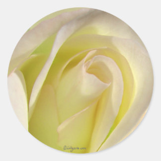 Redondo Adesivo de Rosa de bege amarelo pálido