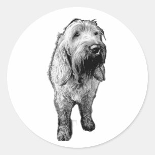 Redondo Adesivo de Spinone – Retrato Emocional de Cachorro