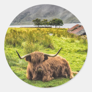 Redondo Adesivo de Vaca Highland