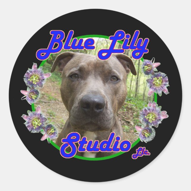 Redondo Adesivo do Blue Lily Studio (Frente)