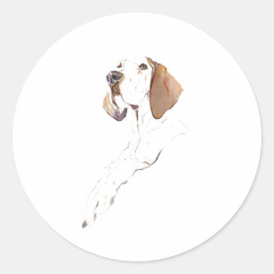 Redondo Adesivo do Cão de Ponteiro Inglês