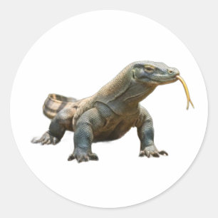 Redondo Adesivo do Dragão de Komodo Antigo Patrimônio da I