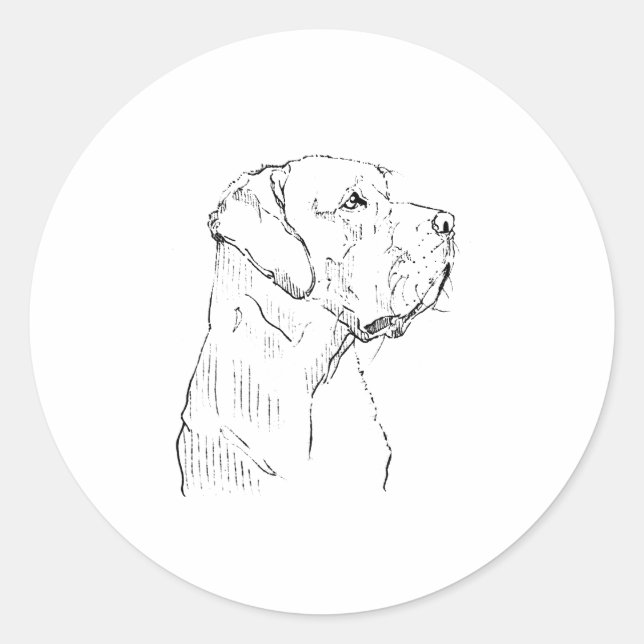 Redondo Adesivo do Labrador Retriever (Frente)