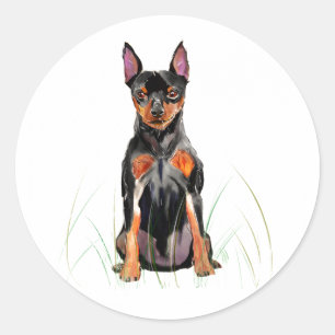 Redondo Adesivo do Pinscher Miniatura, Amante do Cão Min P