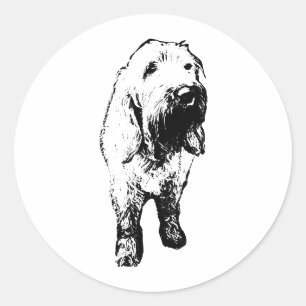 Redondo Adesivo do Spinone Italiano – Cão em Pé Ousado