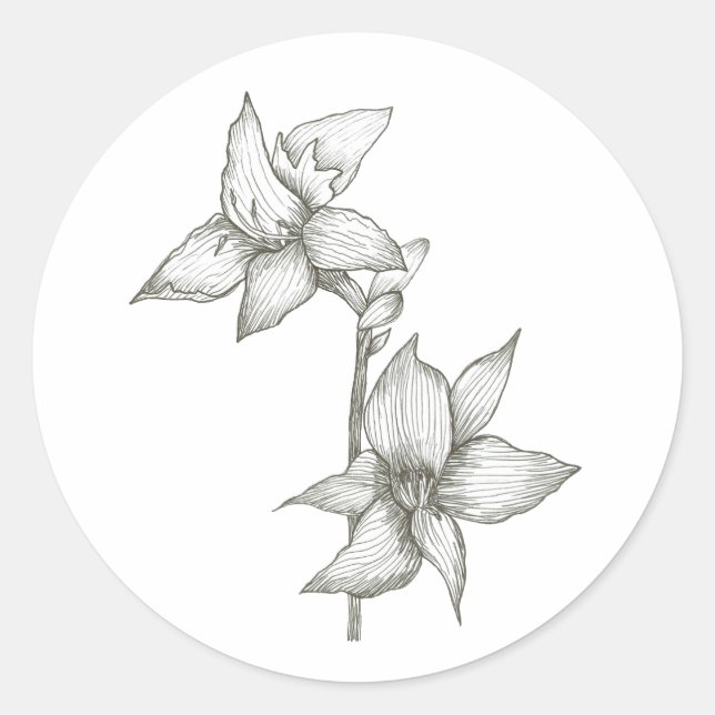 Redondo adesivo lírio (Frente)
