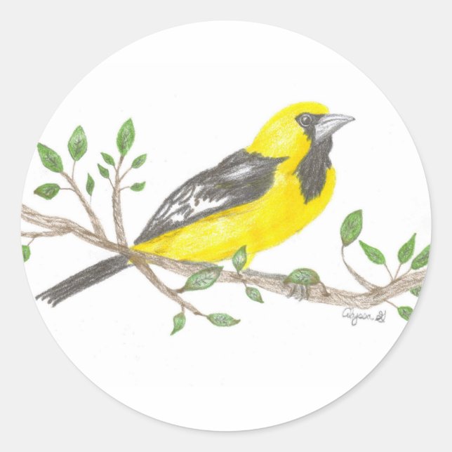 Redondo adesivo Oriole (Frente)