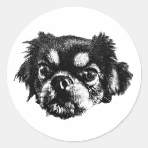 Redondo Adesivo Ousado de Pekingese – Rosto Preto e Branco