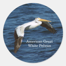 Redondo Adesivo Pelicano Branco-Excelente Americano