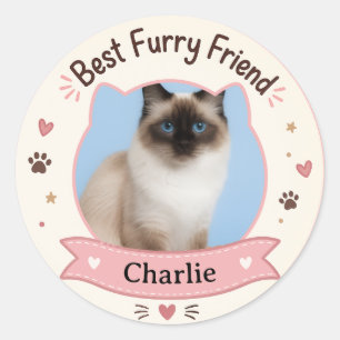 Redondo Adesivo Personalizado com Foto e Nome de Gato