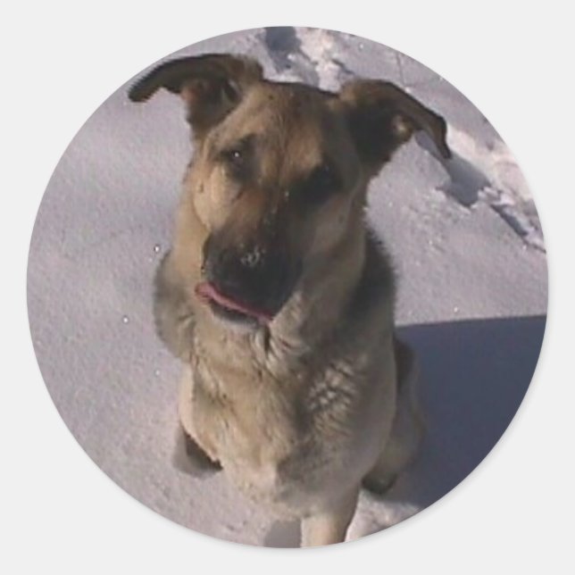 Redondo Adesivo personalizável (Frente)