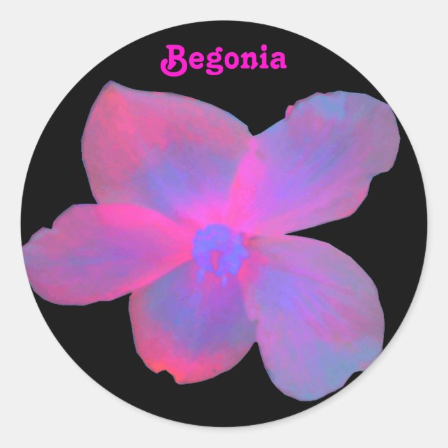 Redondo Adesivo Personalizável de Begonia Fluorescente (Frente)