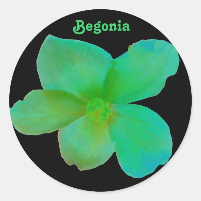 Redondo Adesivo Personalizável de Begonia Verde (Frente)