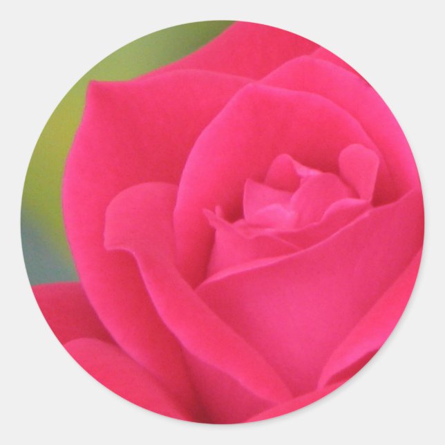 Redondo adesivo rosa (Frente)