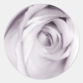 Redondo adesivo rosa púrpura