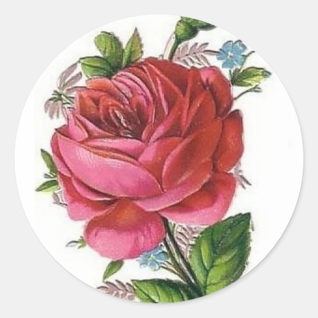 Redondo adesivo Rosa Vintage (Frente)