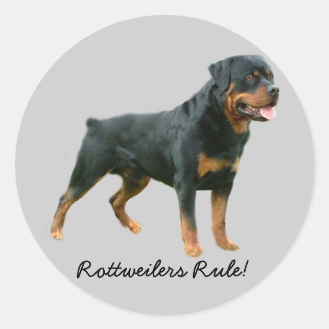 Redondo Adesivo Rottweiler (Frente)