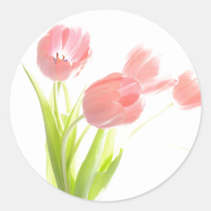Redondo Adesivo Selo de Flores de Tulipa Rosa Floral