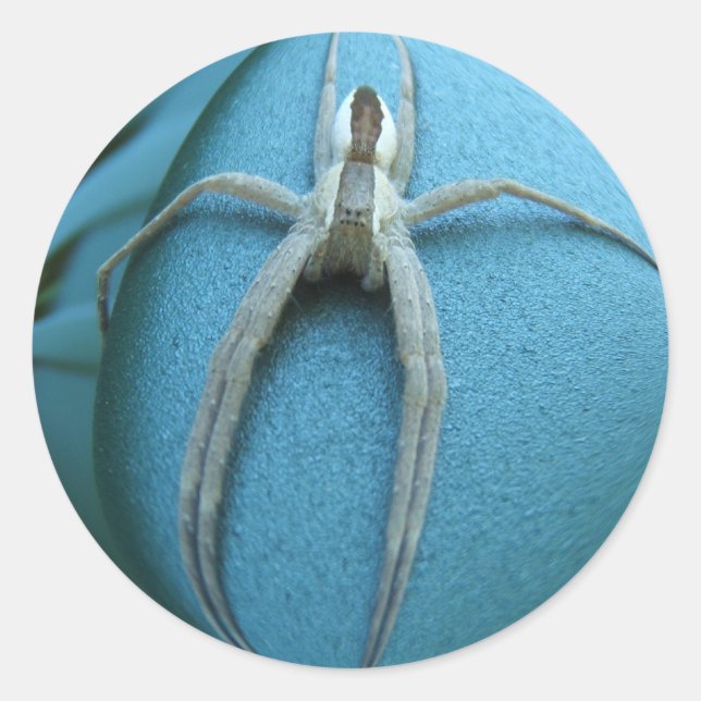 Redondo Adesivo Spider 164 ~ (Frente)