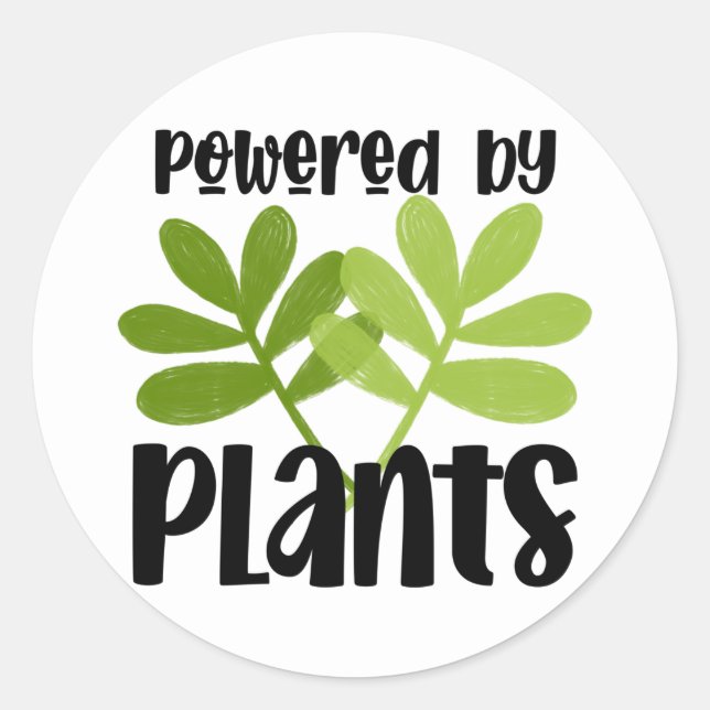 Redondo Adesivo Vegano à Base de Plantas (Frente)