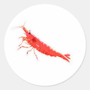 Redondo Adesivo Vibrante de Camarão Cereja Vermelho, Premi