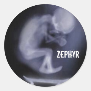 Redondo adesivo Zephyr Skate