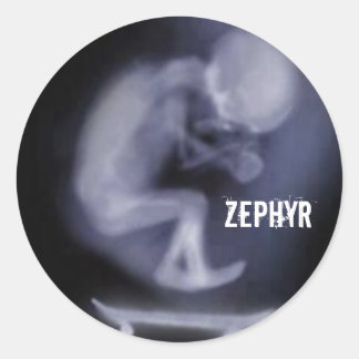 Redondo adesivo Zephyr Skate