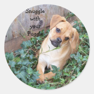 Redondo Agitar com o adesivo de Puggle