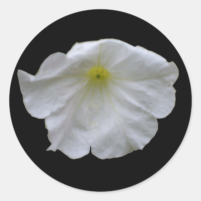 Redondo Belo adesivo branco de Petunia (Frente)