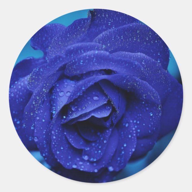 Redondo Belo Rosa azul adesivo (Frente)