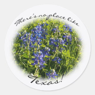 Redondo Bluebonnet "Não há lugar como o Texas." Adesivo