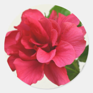 Redondo Bonito a rosa - Adesivo
