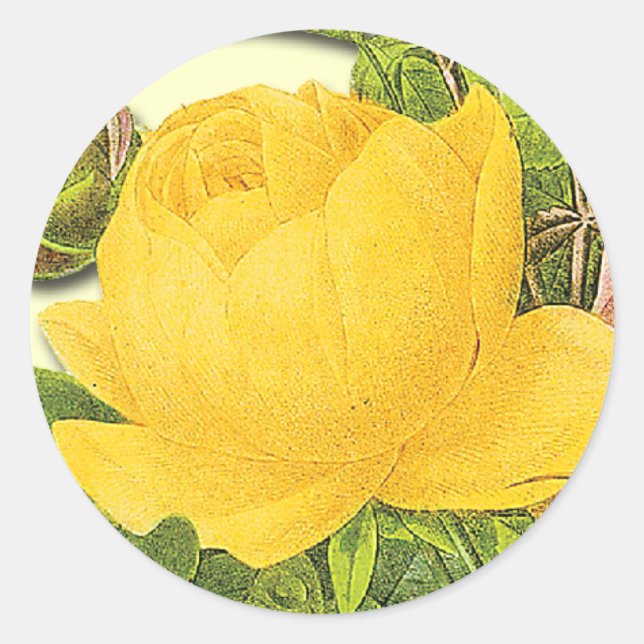 Redondo Botânico amarelo-rosa adesivo (Frente)