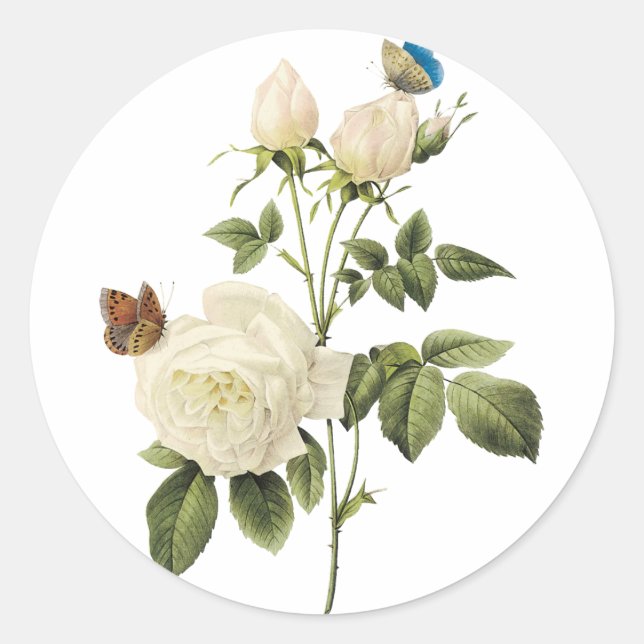 Redondo Buquê de rosas brancas com adesivo de borboletas (Frente)