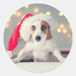 Redondo Cachorro de Natal com Adesivo de chapéu de Papai N
