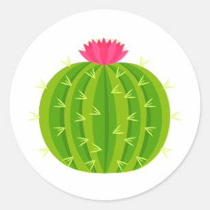 Redondo Cactus com um adesivo de flores