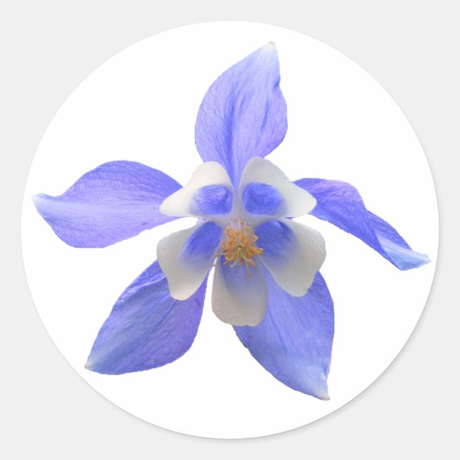 Redondo Columbine 158 ~ adesivo (Frente)