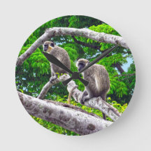 Dois Macacos Verdes Sentados No Relógio De Impress