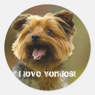 Redondo Eu amo Yorkies! Adesivo