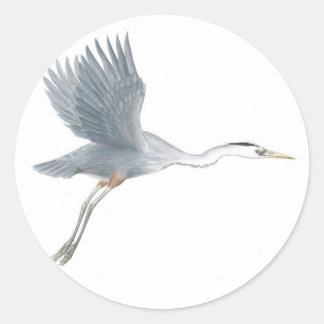 Redondo Excelente Blue Heron Tirando o adesivo