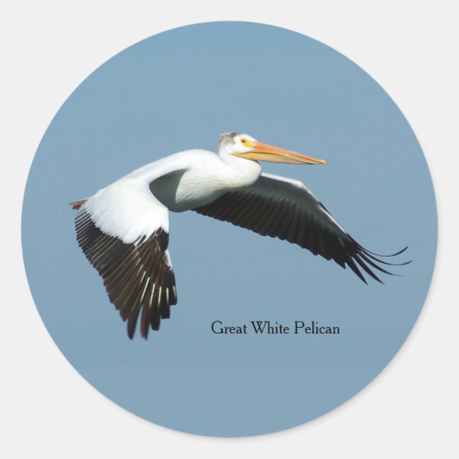 Redondo Excelente branco adesivo pelicano (Frente)