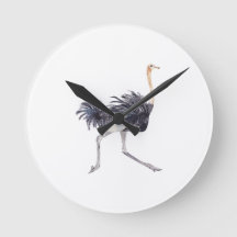 Executando Relógio Ostrich