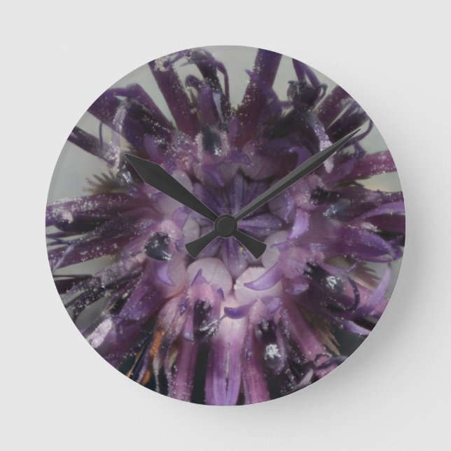 Redondo Face do relógio do Cornflower (Frente)