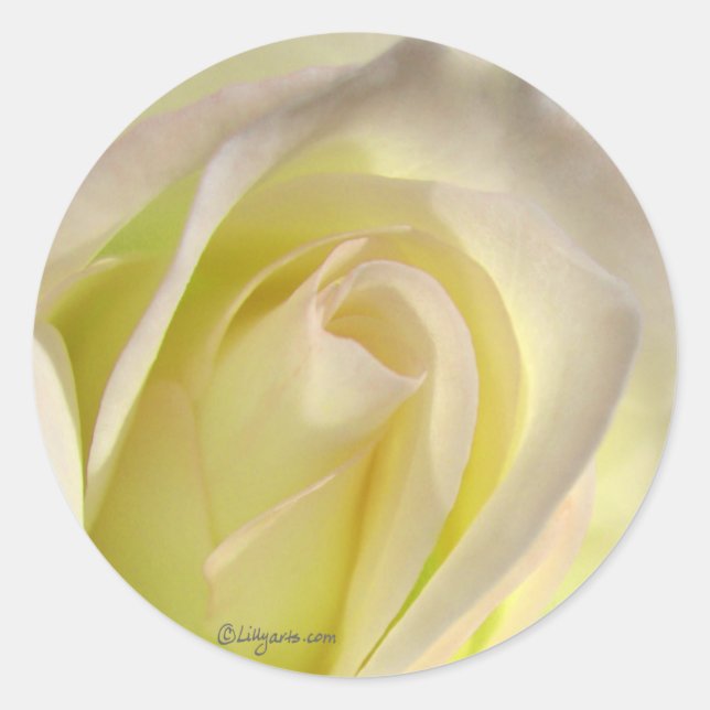 Redondo Fecho do envelope do adesivo Rosa branco desligado (Frente)