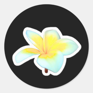 Redondo Flor de Frangipani Branca Exótica Adesivo Die-Cut,