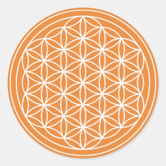 Redondo Flor laranja do adesivo