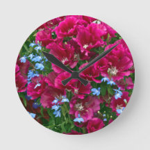 Godetia E Relógio De Lobelia