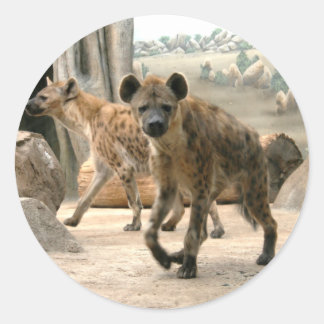 Redondo Hyena Pega Um Adesivo De Olhar
