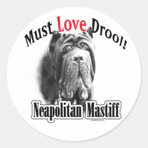 Redondo Mastiff napolitano deve amar adesivo
